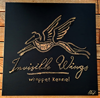 Invisible wings
